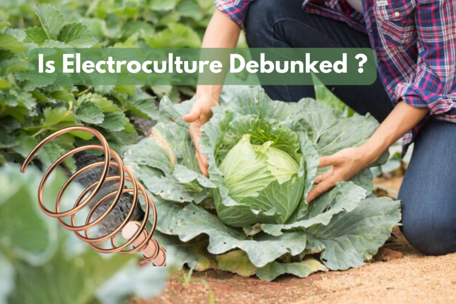 Is Electroculture Debunked ?