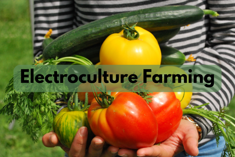 Electroculture: The Future of Agriculture