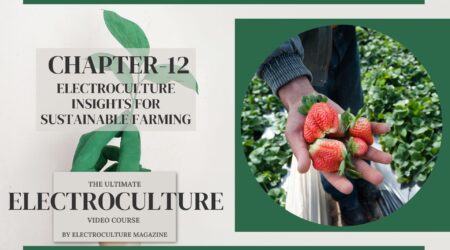 Chapter 12: Electroculture Insights for Sustainable Farming