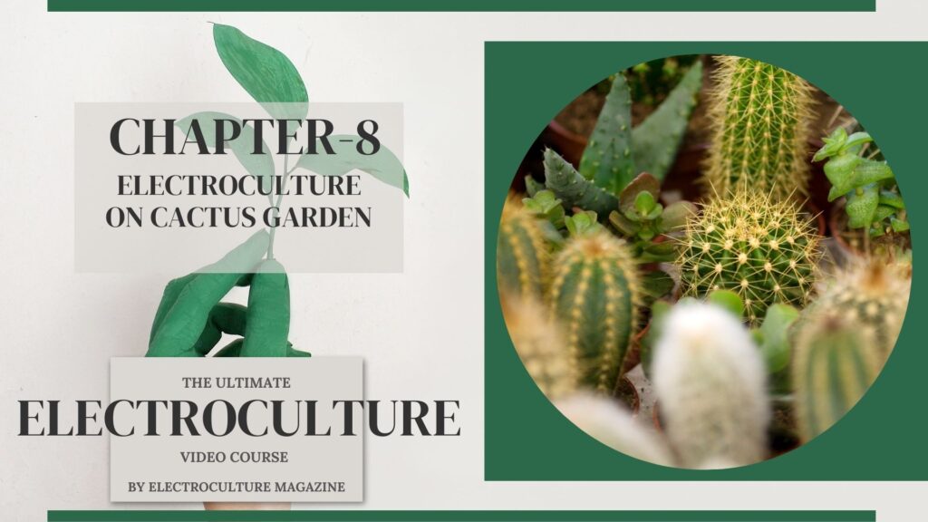 Chapter 8: Electroculture on Cactus Garden