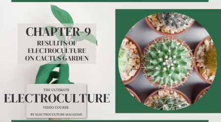 Chapter 9: Results of Electroculture on Cactus Garden